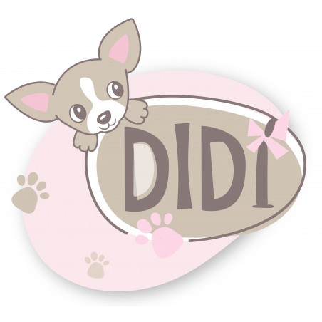 Didi
